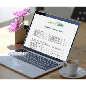 Website content audit on laptop