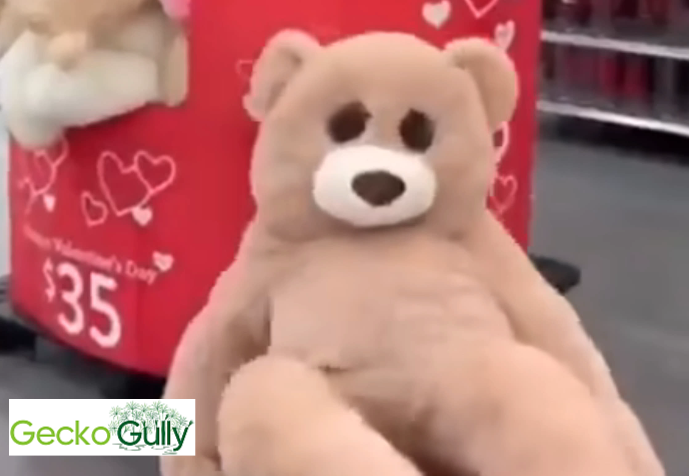 Stop Looking For The Pillow. Find The Bear.